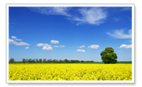 Green-country