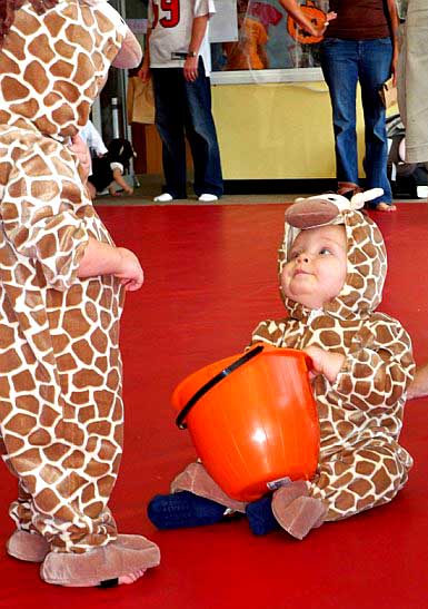 2 Giraffes 2 Giraffes