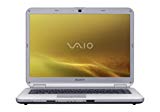 Sony VAIO VGN-NS135E/S 15.4-Inch Laptop (2.0 GHz Intel Dual-Core T3200 Processor, 3 GB RAM, 250 GB Hard Drive, Vista Premium) Silver